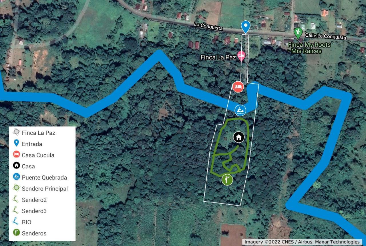 Finca La Paz - Sarapiqui Puerto Viejo de Sarapiqui Ngoại thất bức ảnh