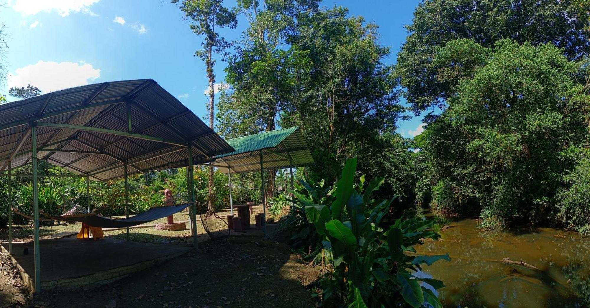 Finca La Paz - Sarapiqui Puerto Viejo de Sarapiqui Ngoại thất bức ảnh
