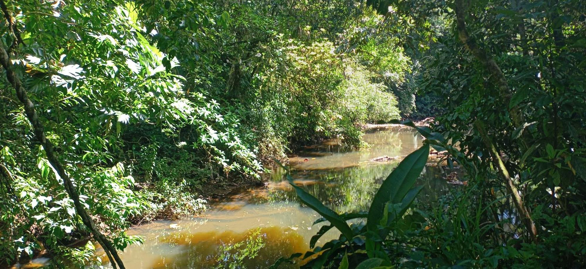 Finca La Paz - Sarapiqui Puerto Viejo de Sarapiqui Ngoại thất bức ảnh