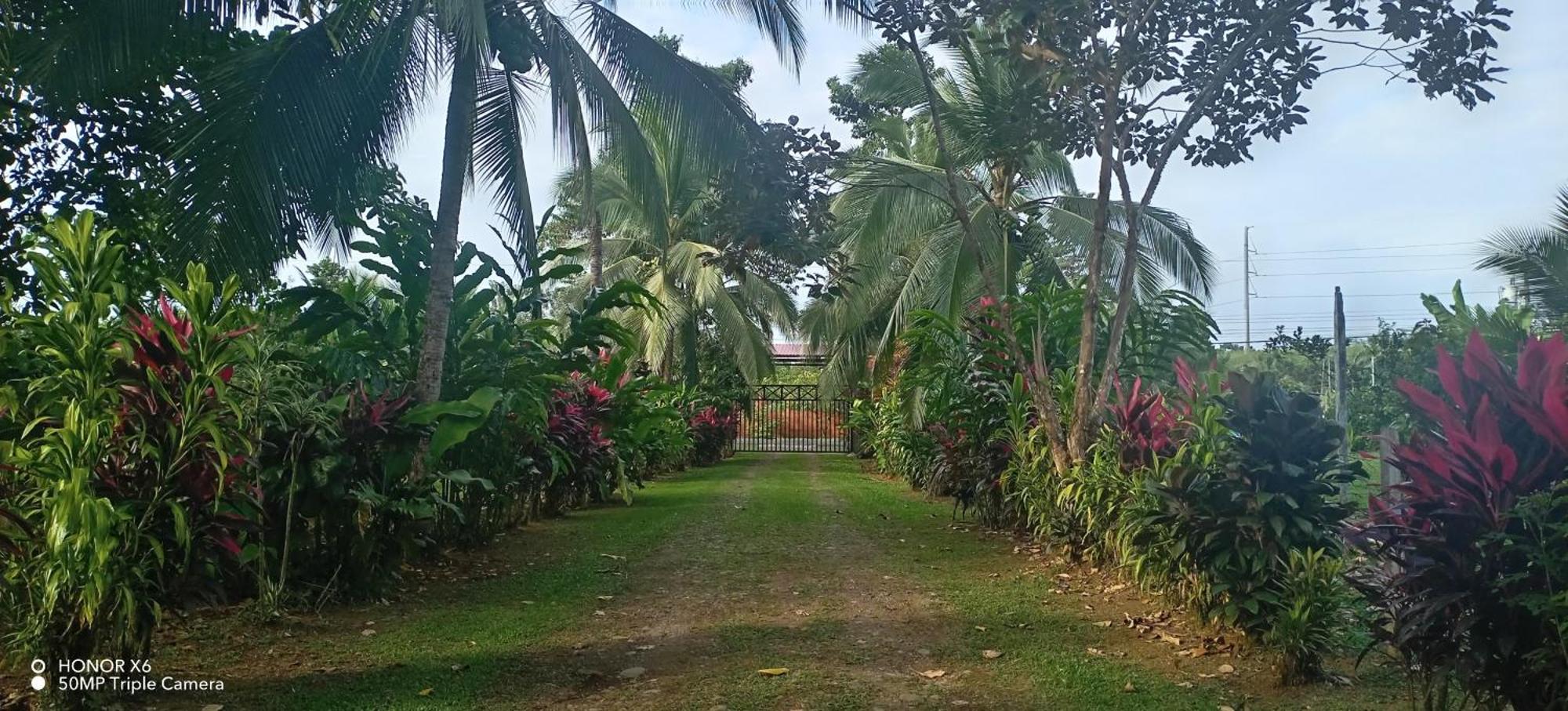 Finca La Paz - Sarapiqui Puerto Viejo de Sarapiqui Ngoại thất bức ảnh